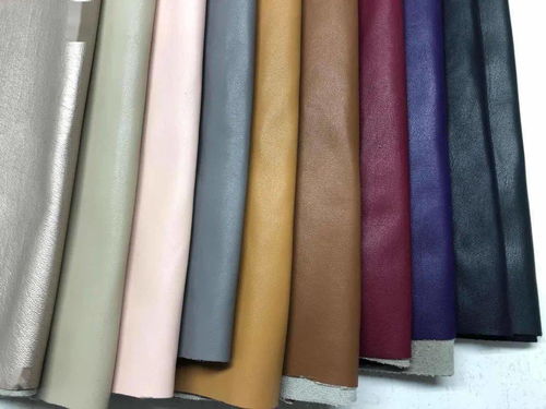 intertextile秋冬面輔料展 內衣面膜料版塊興起，功能升級引領潮流